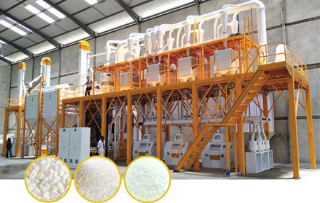 Maize Flour Milling Plant