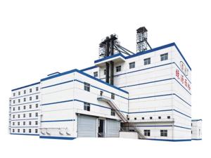 Wheat Flour Milling Plant